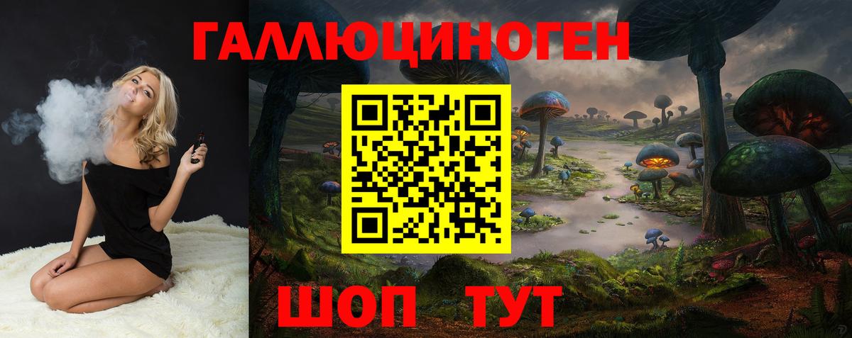 Псилоцибиновые грибы Psilocybe Екатеринбург